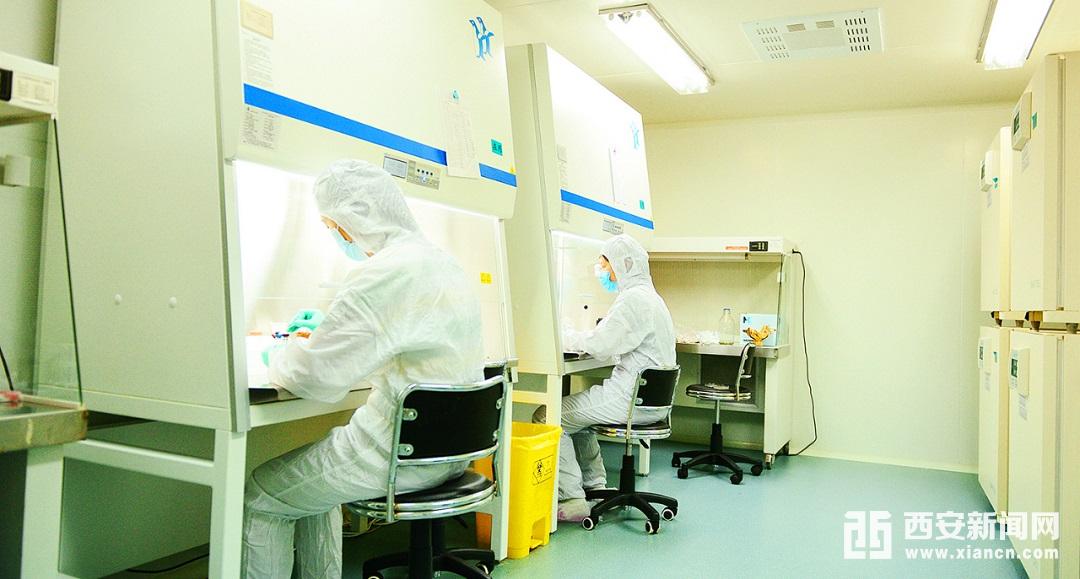 秦汉新城大健康产业发展提速 又一大型GMP生物实验室投用在即